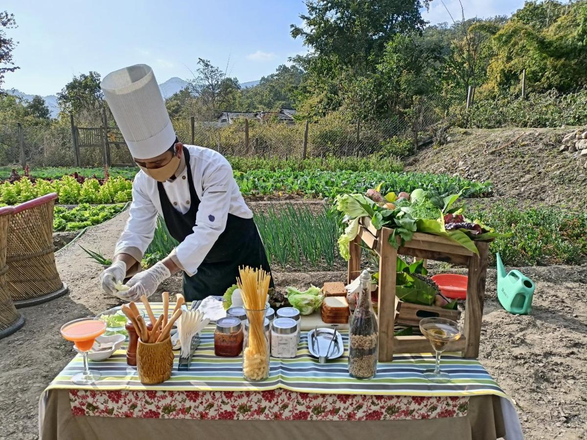 Paatlidun Safari Lodge, Jim Corbett Garjia Ngoại thất bức ảnh