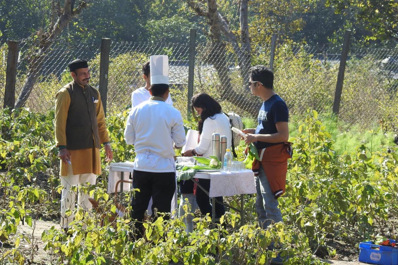 Paatlidun Safari Lodge, Jim Corbett Garjia Ngoại thất bức ảnh